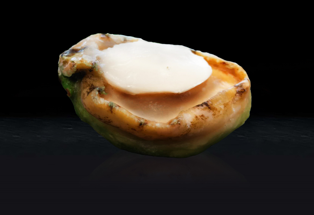 Abalone Range